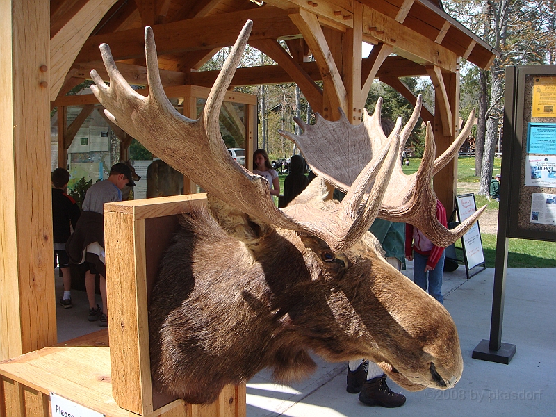 318 Memorial Day [2008 May 23].JPG - Scenes from Tahquanemon Falls in the Michigan Upper Peninsula.